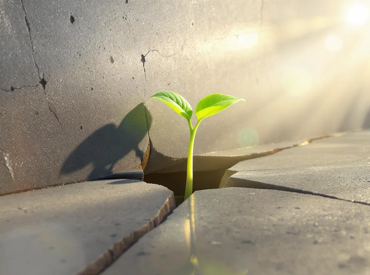 Jeune pousse perçant le béton