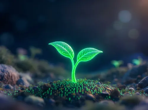 Éco-conception web : comment allier performance, économies et image de marque